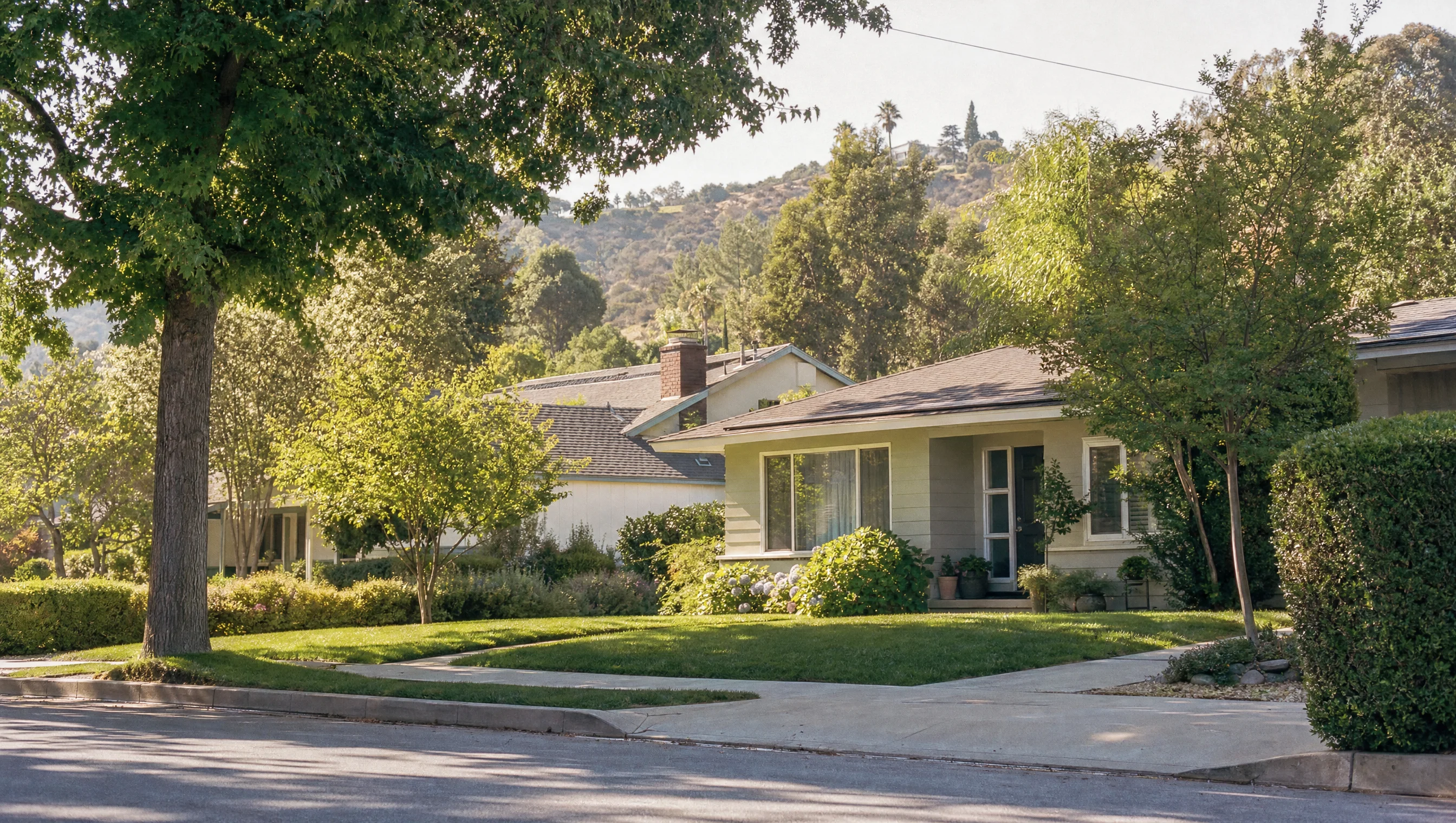 Encino residential street and mature trees