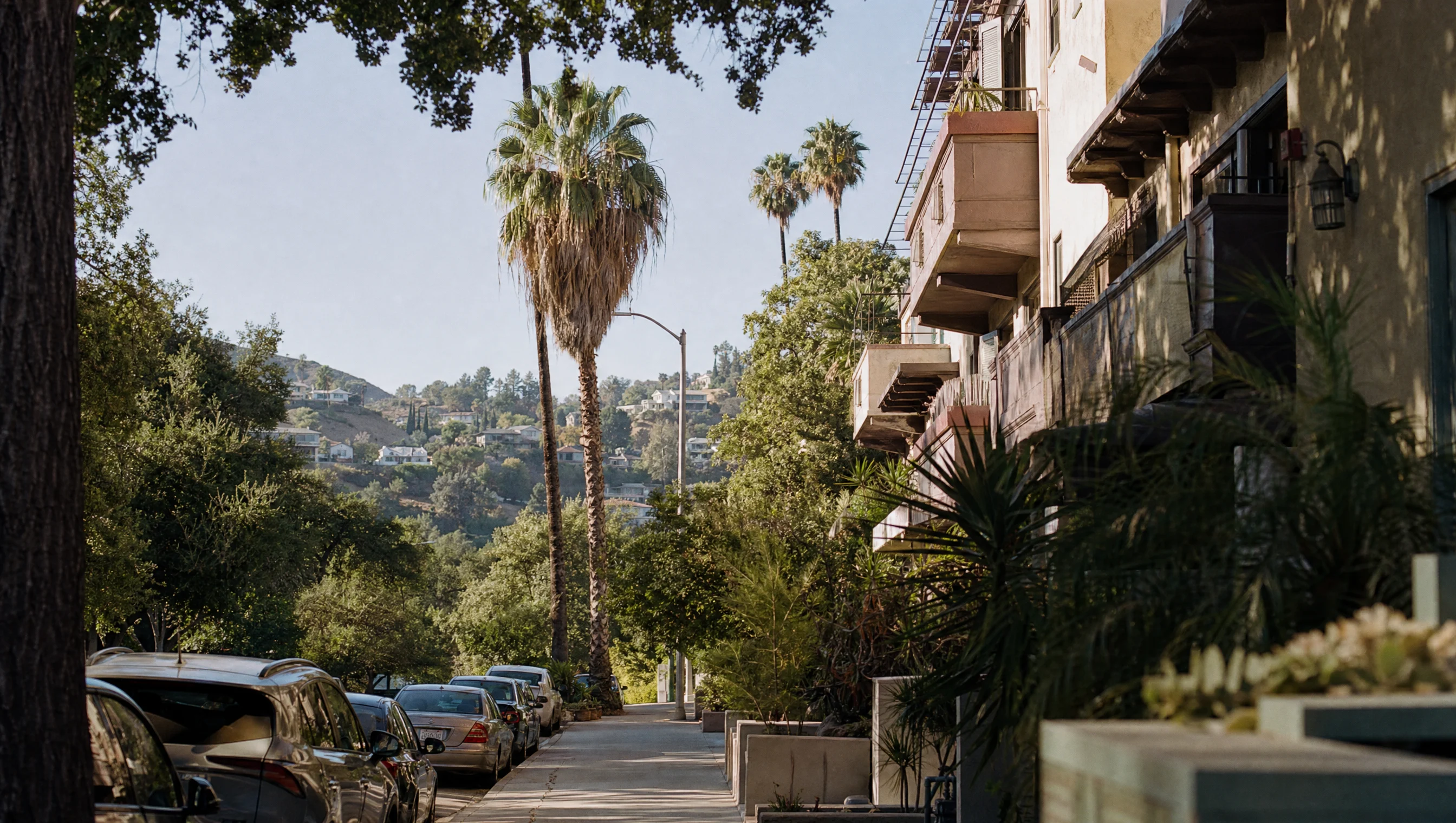 Glendale hillside apartment street with palms and mountains