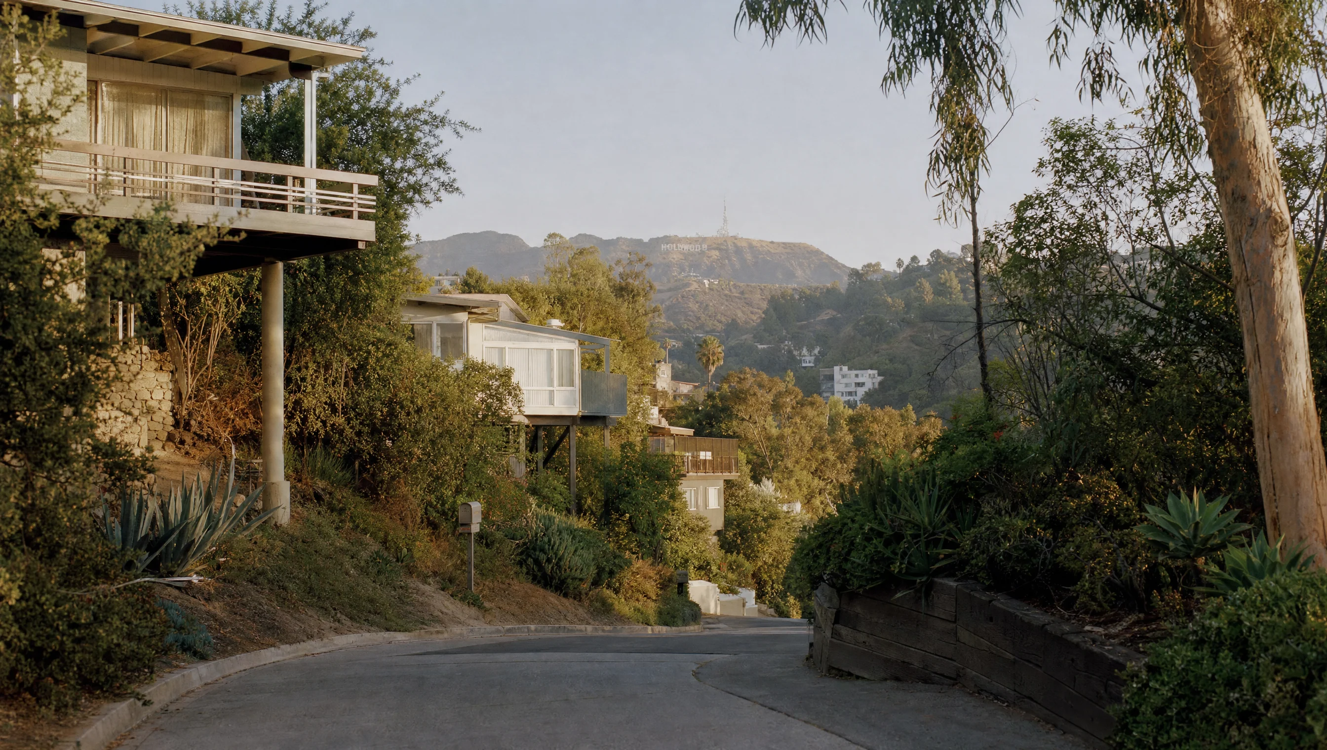 Hollywood Dell hillside street with canyon homes