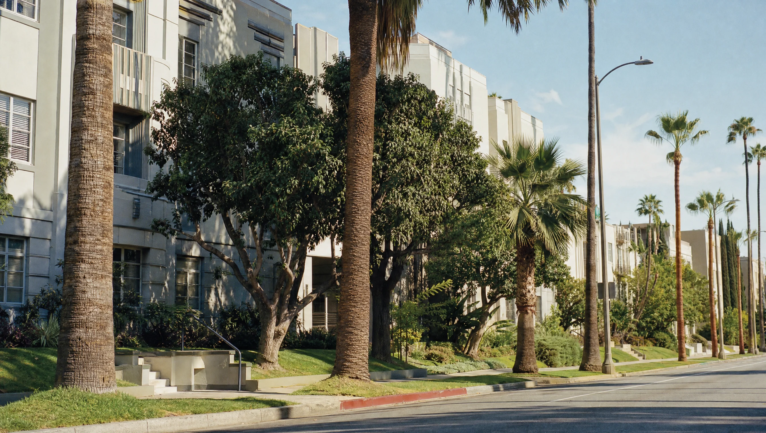 Mid-Wilshire palm-lined apartment corridor