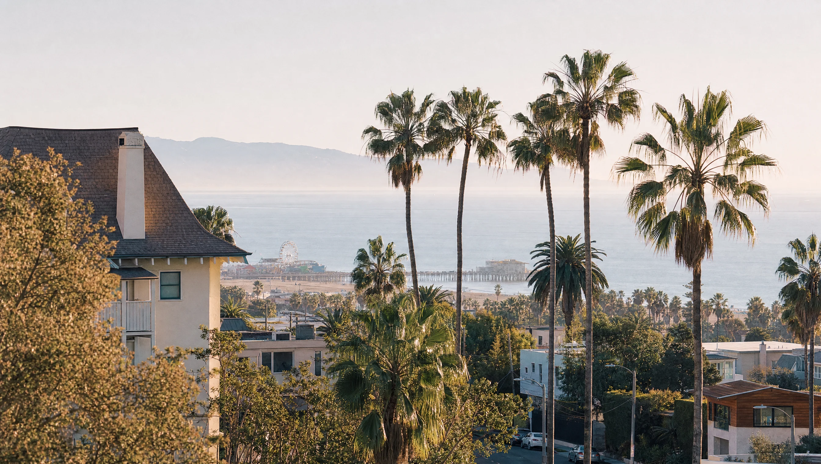 Santa Monica palm line and coastal residential view