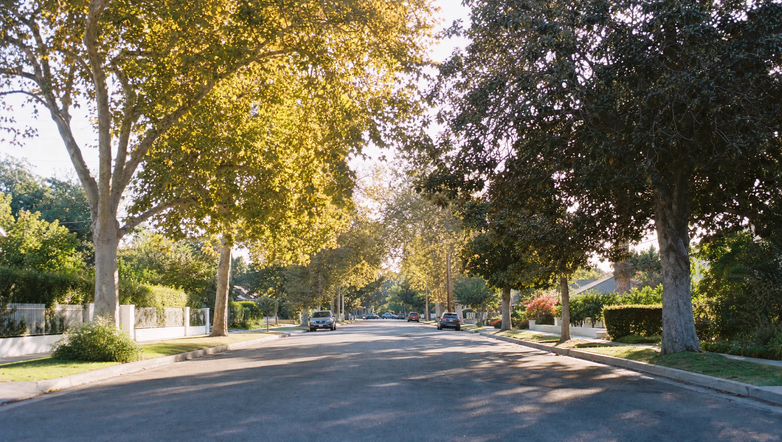 Sherman Oaks tree-lined Valley residential street