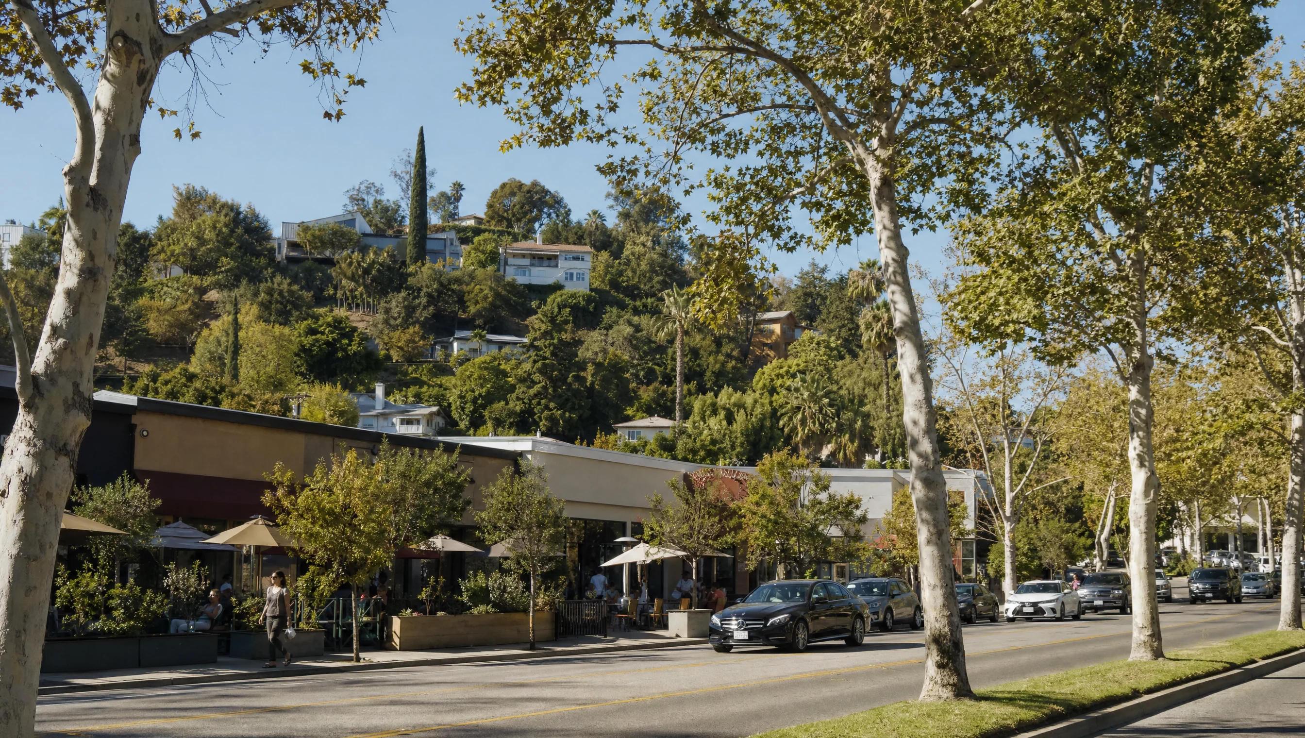 Studio City leafy residential street and hillside homes
