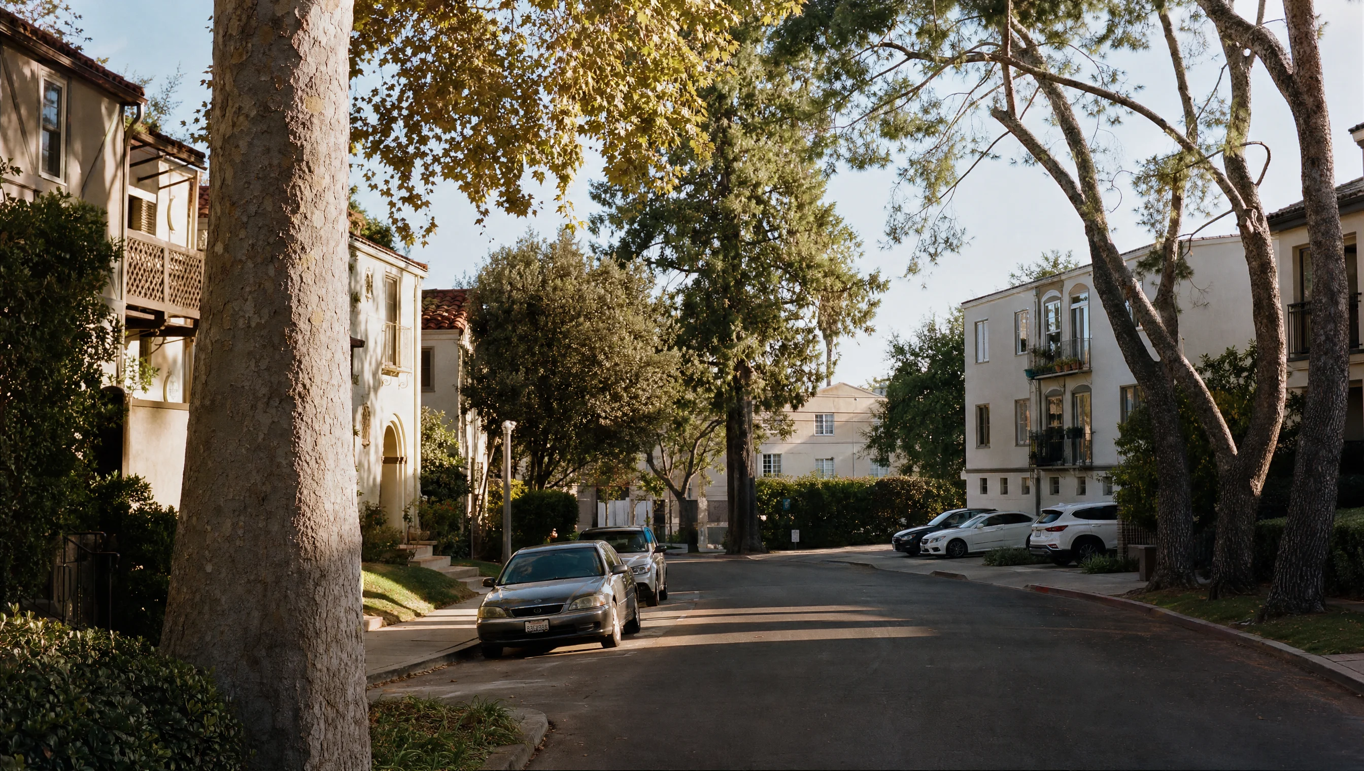 Toluca Lake tree-lined residential street